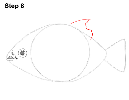 Piranha Drawing 8 Draw Piranha Fish 8