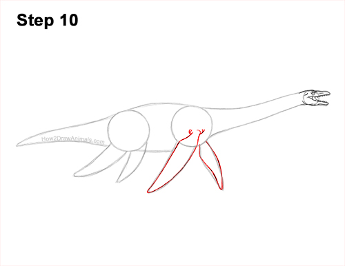 How to Draw a Plesiosaurus Marine Dinosaur 10
