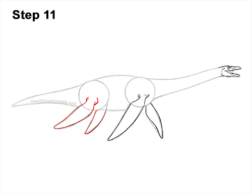 How to Draw a Plesiosaurus Marine Dinosaur 11