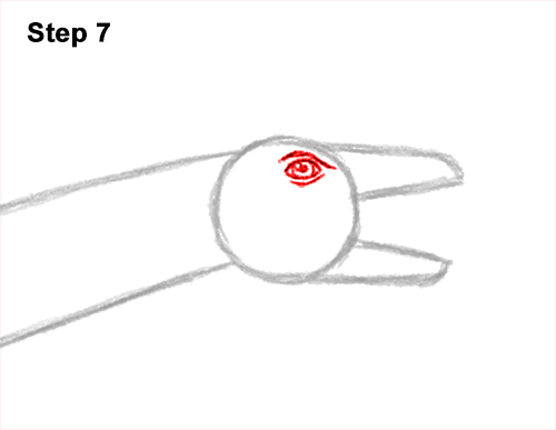 Draw a Plesiosaurus Dinosaur 7 How to Draw a Plesiosaurus Marine Dinosaur 7