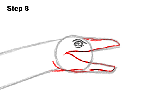Draw a Plesiosaurus Dinosaur 8 How to Draw a Plesiosaurus Marine Dinosaur 8