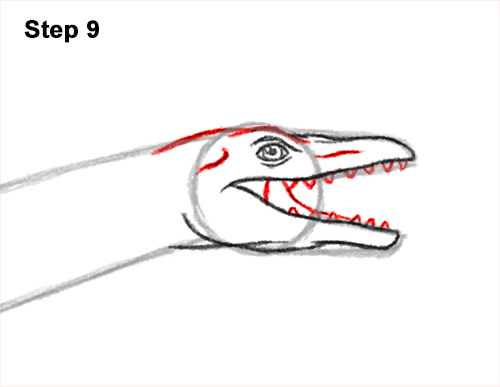 Draw a Plesiosaurus Dinosaur 9 How to Draw a Plesiosaurus Marine Dinosaur 9