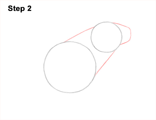How to Draw a Striped Poison Dart Frog 2