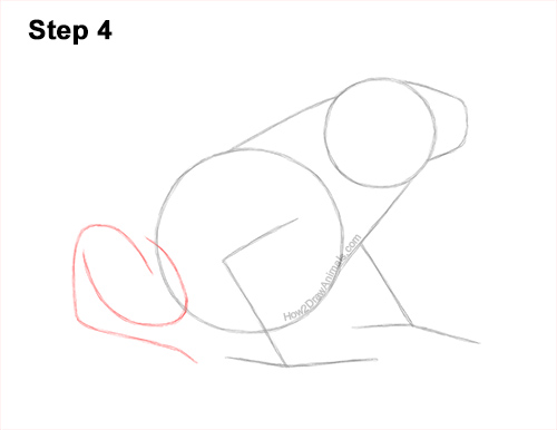 How to Draw a Striped Poison Dart Frog 4