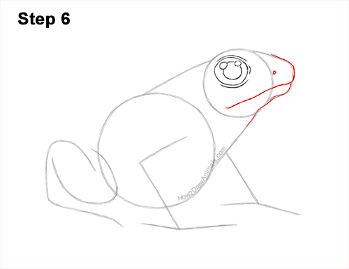 How to Draw a Striped Poison Dart Frog 6