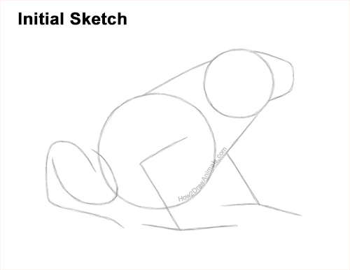 How to Draw a Striped Poison Dart Frog Guides Lines
