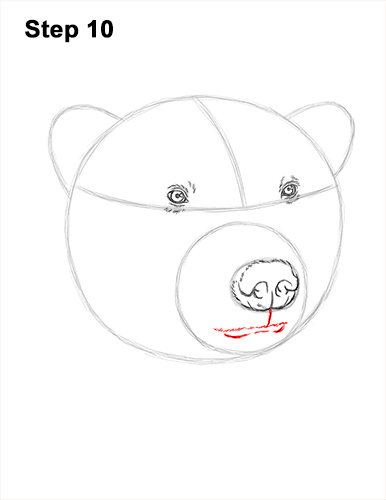 Draw a Polar Bear Head 10 How to Draw a Polar Bear Portrait Head Face 10
