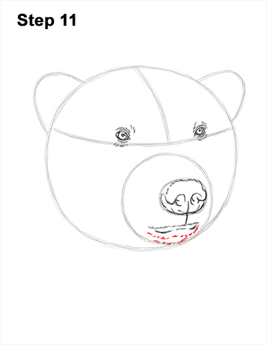 Draw a Polar Bear Head 11 How to Draw a Polar Bear Portrait Head Face 11