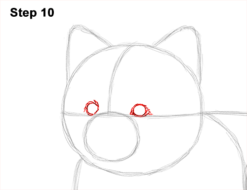 Draw a Pomeranian Dog 10 How to Draw a Cute Pomeranian Puppy Dog 10