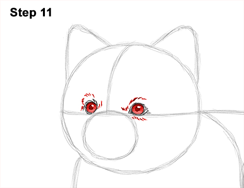 Draw a Pomeranian Dog 11 How to Draw a Cute Pomeranian Puppy Dog 11