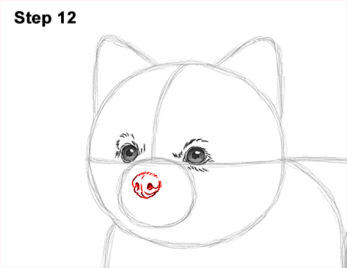 Draw a Pomeranian Dog 12 How to Draw a Cute Pomeranian Puppy Dog 12