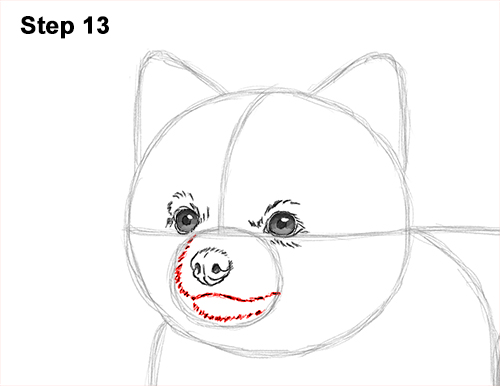 Draw a Pomeranian Dog 13 How to Draw a Cute Pomeranian Puppy Dog 13