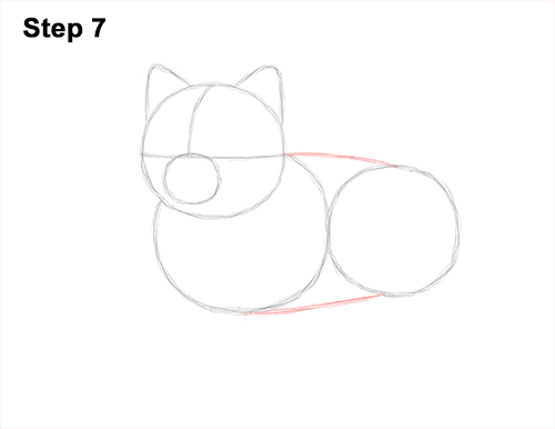 Draw a Pomeranian Dog 7 How to Draw a Cute Pomeranian Puppy Dog 7