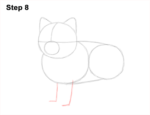 Draw a Pomeranian Dog 8 How to Draw a Cute Pomeranian Puppy Dog 8