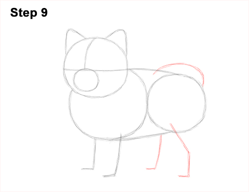 Draw a Pomeranian Dog 9 How to Draw a Cute Pomeranian Puppy Dog 9