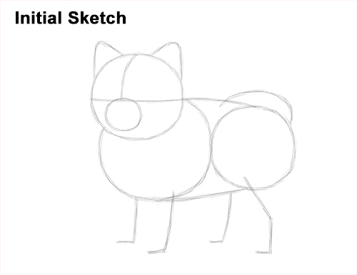 Draw a Pomeranian Dog Sketch How to Draw a Cute Pomeranian Puppy Dog Initial Sketch
