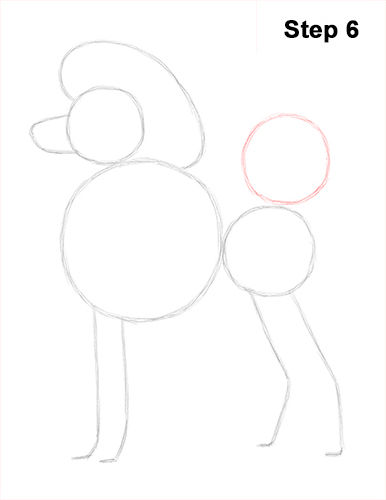 Draw Poodle Dog 6