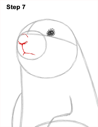 How to Draw a Black-Tailed Prairie Dog Standing Up 7