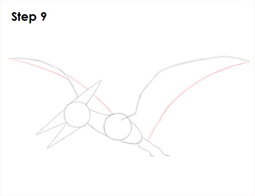 Pteranodon Dinosaur Drawing 9 Draw Pteranodon Dinosaur 9