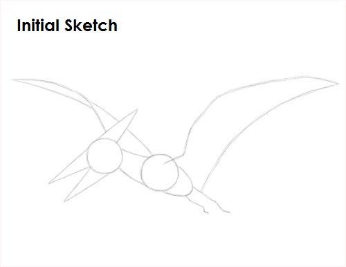 Pteranodon Dinosaur Sketch Draw Pteranodon Dinosaur Sketch