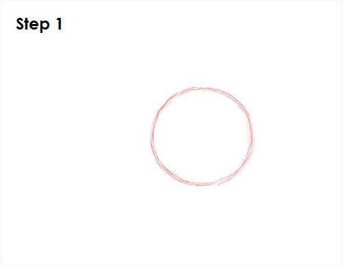 Puffin Bird Drawing 1 Draw Puffin Bird 1