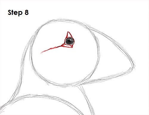 Draw Puffin Bird 8