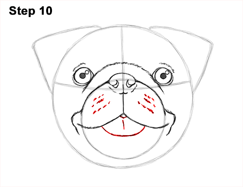 Draw Pug Dog Head 10 How to Draw Pug Puppy Dog Head Face Portrait 10