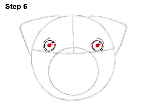 How to Draw Pug Puppy Dog Head Face Portrait 6