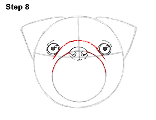 How to Draw Pug Puppy Dog Head Face Portrait 8