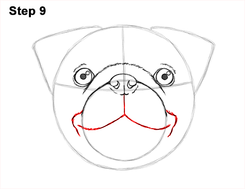 How to Draw Pug Puppy Dog Head Face Portrait 9