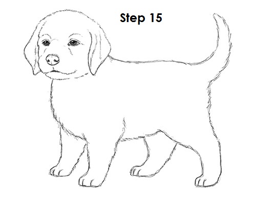 Draw Puppy Dog 15