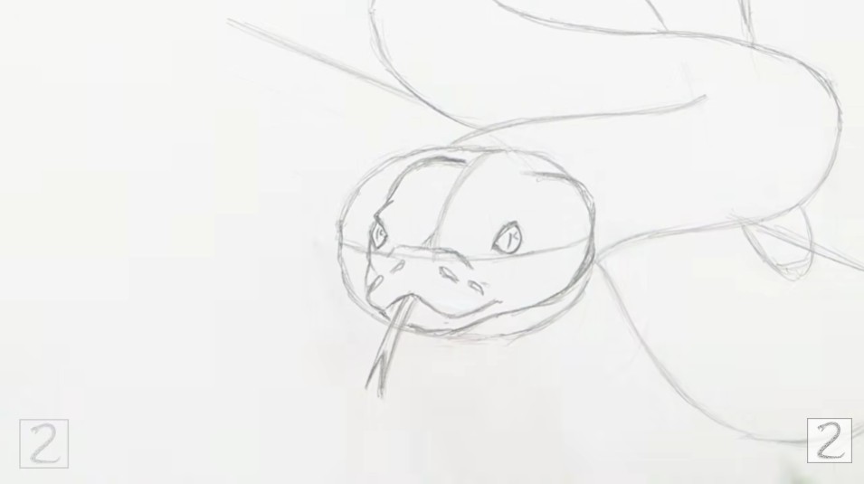 Draw the Facial Features