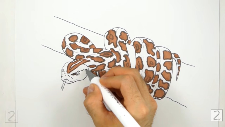 Continue Adding Colors with Markers
