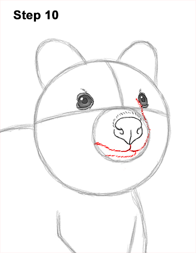 How to Draw a Smiling Quokka Short Tail Scrub Wallaby 10