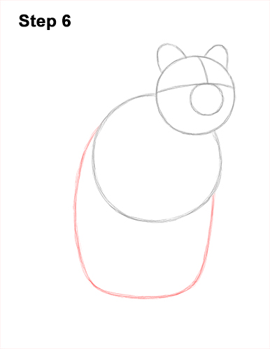 Draw a Cute Quokka Smile 6 How to Draw a Smiling Quokka Short Tail Scrub Wallaby 6