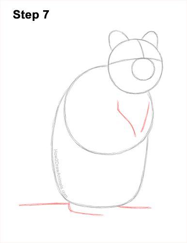 Draw a Cute Quokka Smile 7 How to Draw a Smiling Quokka Short Tail Scrub Wallaby 7