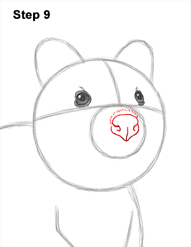 Draw a Cute Quokka Smile 9 How to Draw a Smiling Quokka Short Tail Scrub Wallaby 9