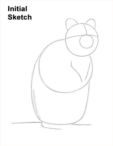 Draw a Cute Quokka Smile Guidelines How to Draw a Smiling Quokka Short Tail Scrub Wallaby Guides Lines