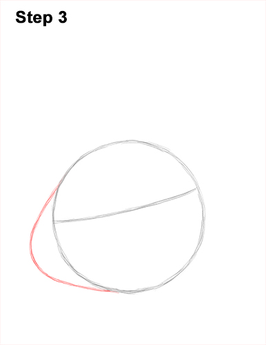 How to Draw Cute Bunny Rabbit Head Face Portrait 3