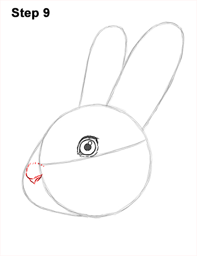 How to Draw Cute Bunny Rabbit Head Face Portrait 9
