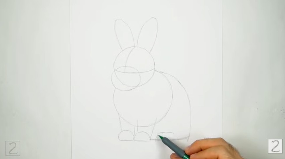 How to Draw a Rabbit Guidelines