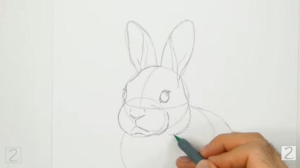 How to Draw a Rabbit Face Details
