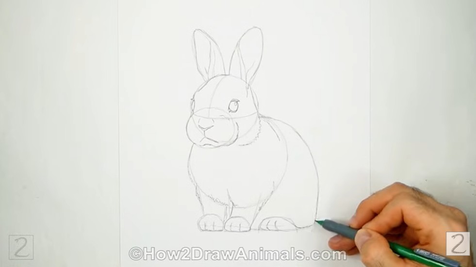 How to Draw a Rabbit Body