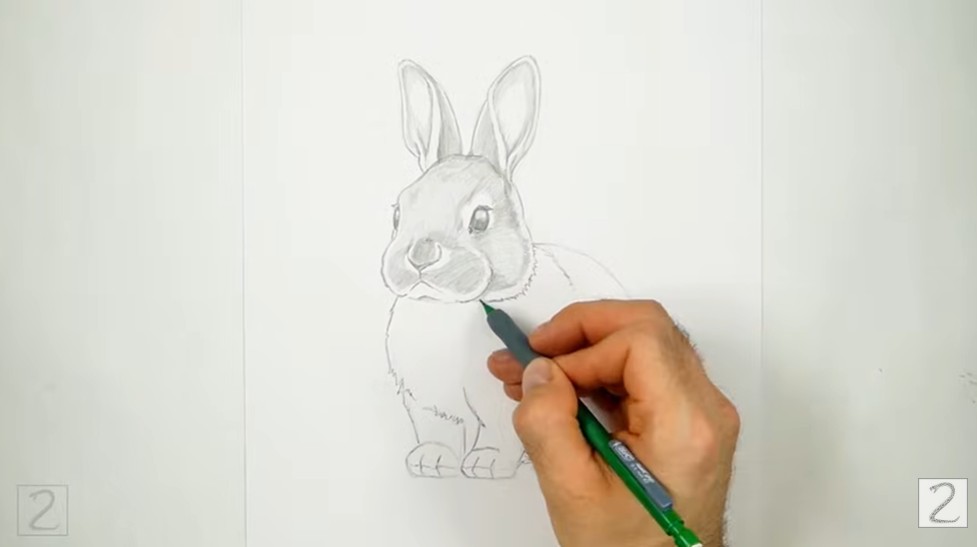 How to Draw a Rabbit Fur Texture