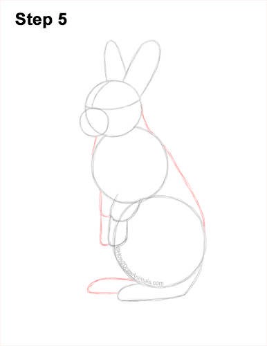 How to Draw a Cute Bunny Rabbit Standing Up 5