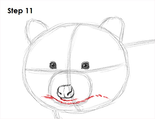 Draw Raccoon 11
