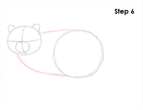 Raccoon Drawing 6 Draw Raccoon 6