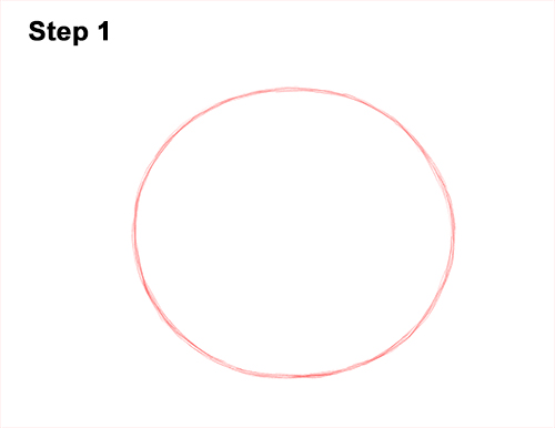 Draw a Raccoon Head 1 How to Draw a Raccoon Head Face Portrait 1