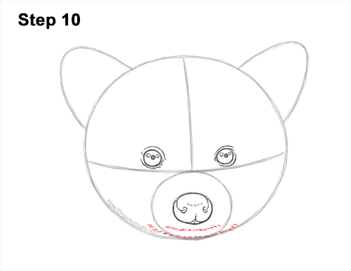 How to Draw a Raccoon Head Face Portrait 10
