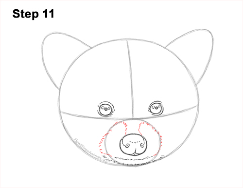 How to Draw a Raccoon Head Face Portrait 11